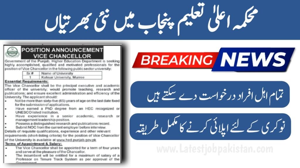 Punjab Higher Education Commission PHEC Jobs 2025