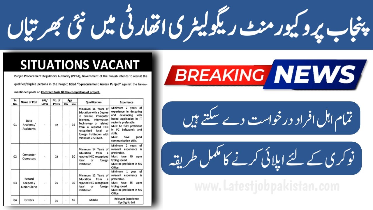 Punjab Procurement Regulatory Authority PPRA Jobs 2025
